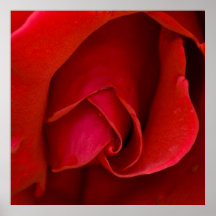 Rose de Jacquard Poster