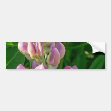 Rose de loup adhésif pour voiture