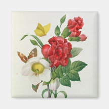 Rose de Noël, Helleborus Niger Magnets Pour Réfrigérateur