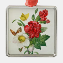Rose de Noël, Helleborus Niger Décoration Pour Sapin De Noël
