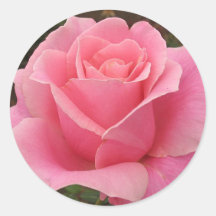 Rose de rose adhésif
