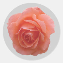 Rose de rose pour vous adhésif rond