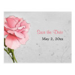 Rose de rose sur des économies de gris la carte po cartes postales