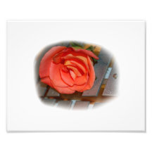 Rose de rose sur le maillet Bells en métal Art Photographique