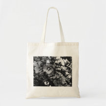 Rose de sac de Sharon