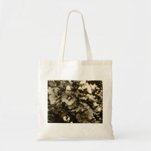 Rose de sac de Sharon