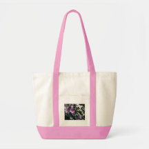 Rose de sac de Sharon