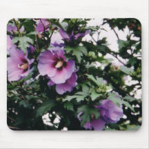 Rose de Sharon Mousepad Tapis De Souris