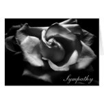 Rose de sympathie noir et blanc carte