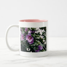 Rose de tasse de Sharon