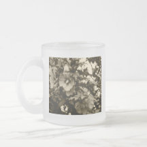 Rose de tasse de Sharon