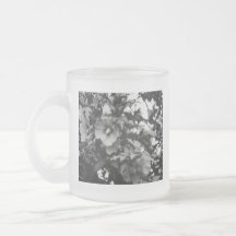 Rose de tasse de Sharon