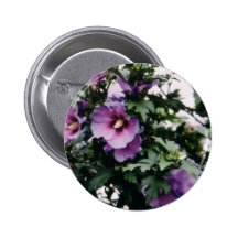 Rose des boutons de Sharon Pin's