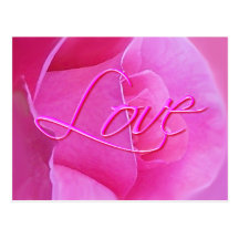 ROSE et AMOUR de ROSE par SHARON SHARPE Cartes Postales