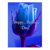Rose heureux de bleu du jour de mère carte postale