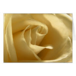 Rose jaune cartes