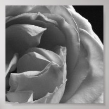 Rose noir et blanc : Bloc 2 Poster