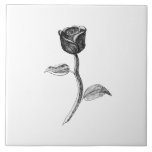 Rose noire carreaux