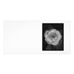 Rose noire et blanche cartes avec photo
