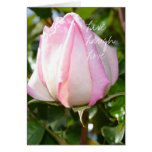 Rose rose vivante, amour, rire cartes de vœux