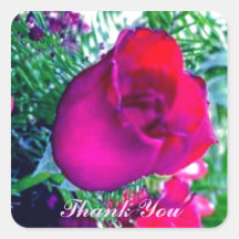 Rose rouge - autocollant de Merci