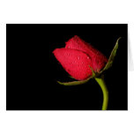 Rose rouge carte de vœux