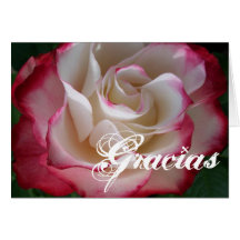 Rose rouge et blanc Gracias Cartes De Vœux