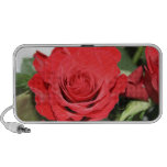 Rose rouge haut-parleurs notebook