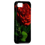 Rose rouge iPhone 5 case