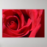 Rose rouge posters