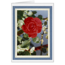 ROSE ROUGE ROUGE CARTES