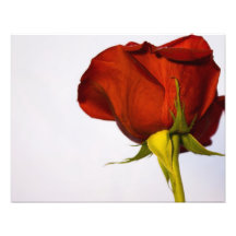 Rose rouge simple art photographique