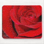 Rose rouge tapis de souris