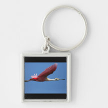 Rose sur le bleu porte-clefs