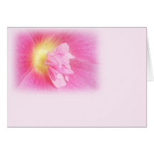 Rose trémière rose carte de vœux