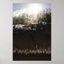Roseaux II Poster