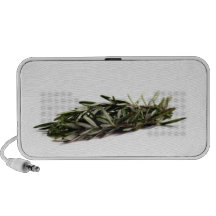 Rosemary Haut-parleur Mp3
