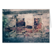 Roses 76 cartes de vœux