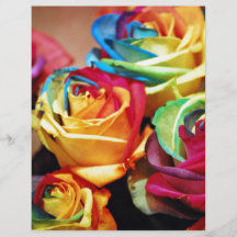 Roses attrayants de colourfull prospectus