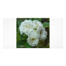 Roses blancs cartes de vœux avec photo