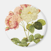 Roses de damassé aimant