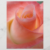 Roses de papier de thème d'insectes de fleur de ro prospectus personnalisés