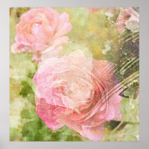 Roses doux posters