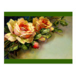 Roses jaunes carte postale