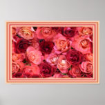 Roses pour vous posters