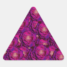 Roses pourpres sticker en triangle