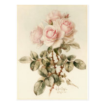 Roses romantiques victoriens vintages carte postale