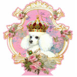 Roses roses de la princesse n de caniche photo en relief