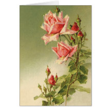 Roses roses vintages de jardin pour la Saint-Valen Cartes De Vœux