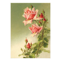 Roses roses vintages de jardin pour la Saint-Valen Bristols